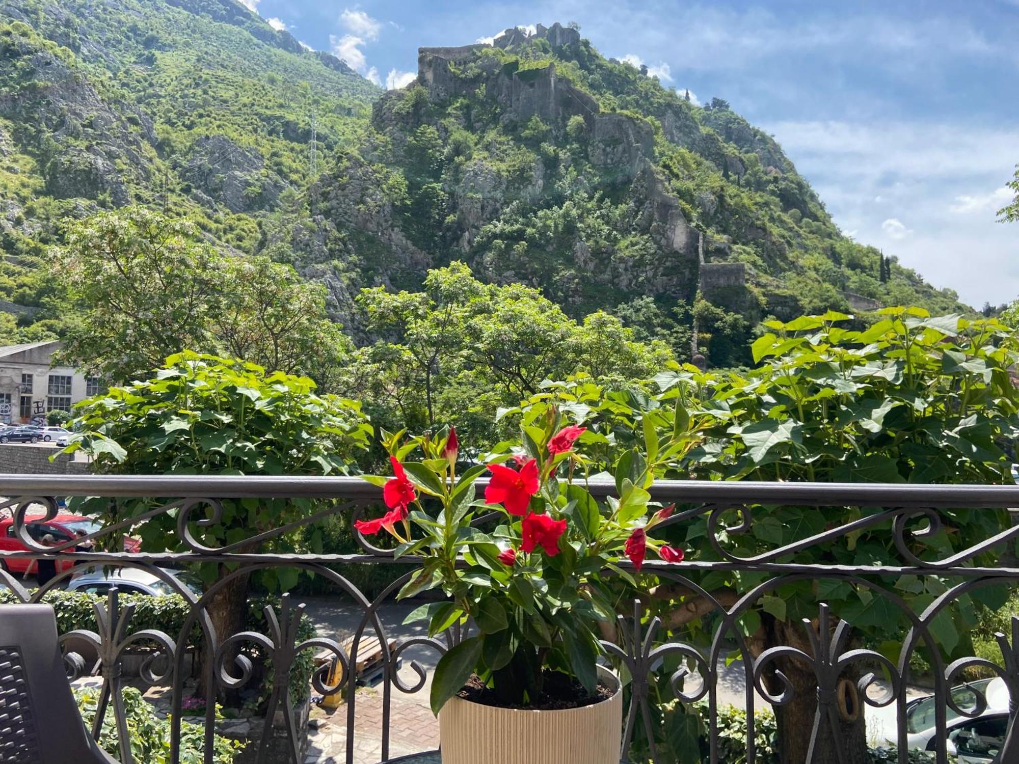 Fiumera Kotor Apartment Экстерьер фото